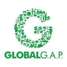 GLOBALG.A.P Certified